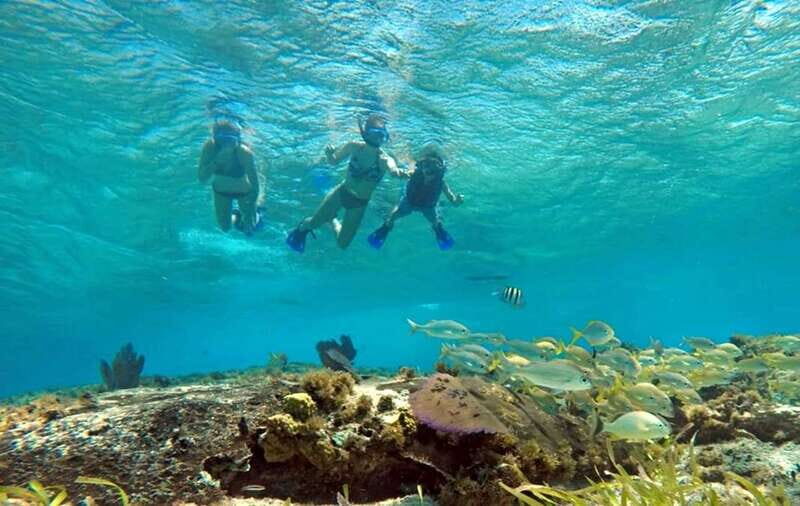Cozumel: Private Charter Boat and Snorkel Day Trip - The Snorkeling Stop: A Secluded Reef With Guided Support