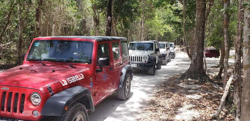 Cozumel: Private Jeep Tour Shore Excursion - Tequila factory tour and tasting: great for learning, go in smart on buying