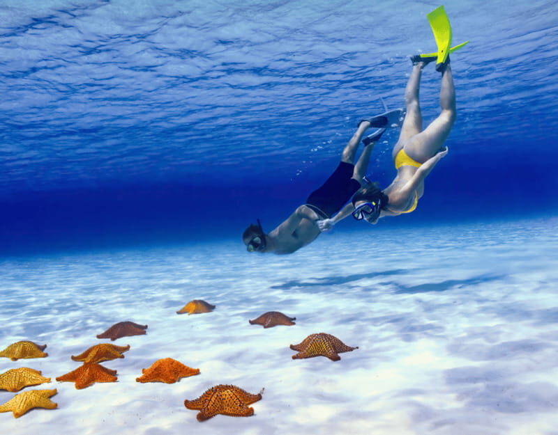Cozumel: Private Snorkel Tour El Cielo + 3 Reefs Food Drinks - Key takeaways before you book