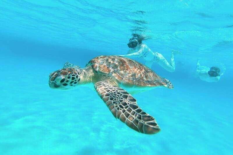 Cozumel: Private Snorkel Tour El Cielo + 3 Reefs Food Drinks - A private 3-hour snorkel plan that actually fits your day