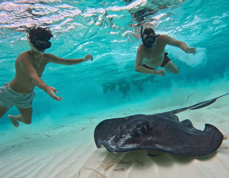 Cozumel: Private Snorkel Tour El Cielo + 3 Reefs Food Drinks - El Cielito natural pool for manta rays