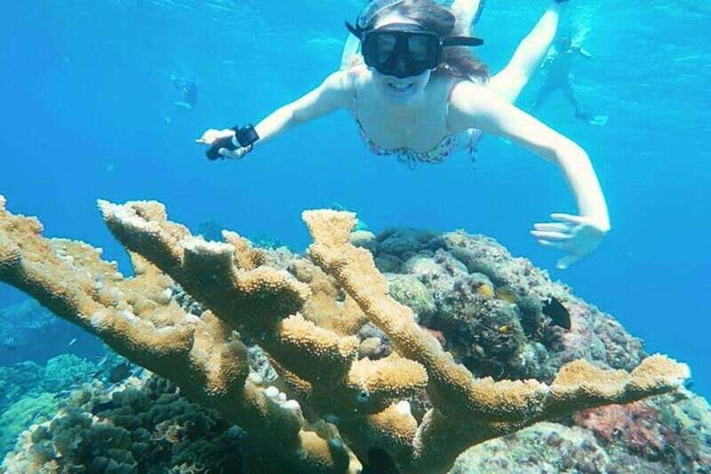 Cozumel: Private Snorkel Tour El Cielo + 3 Reefs Food Drinks - Getting to Playa San Francisco: the one logistical move you’ll want to plan