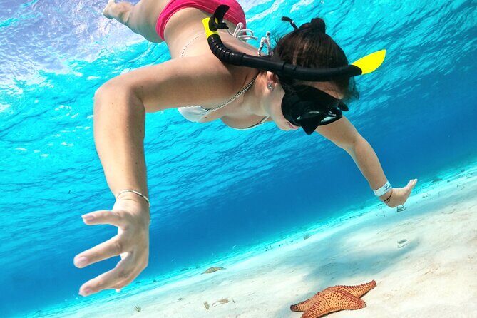 Cozumel Private Snorkeling and Charter Experience - Your Boat, Gear, and Crew Support: Snorkel Comfort Without Guesswork