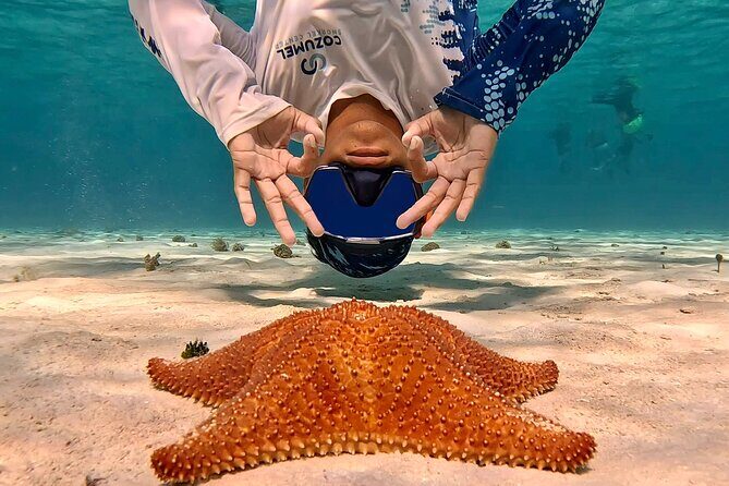 Cozumel Private Snorkeling and Charter Experience - Stop 2: Columbia Reef and Wildlife Odds You’ll Want to See