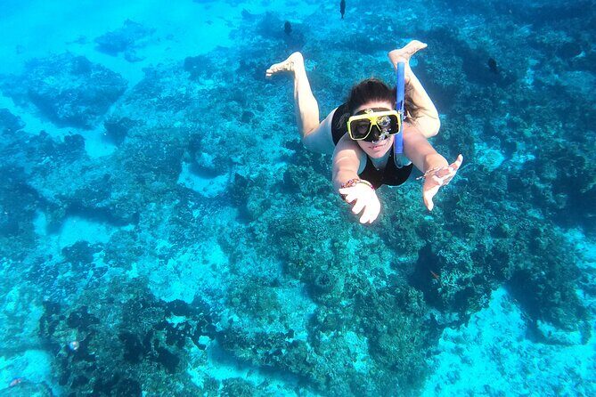 Cozumel Private Snorkeling and Charter Experience - Other Possible Stops: Turtle Sanctuary and El Cielito (Why the Captain’s Flexibility Matters)
