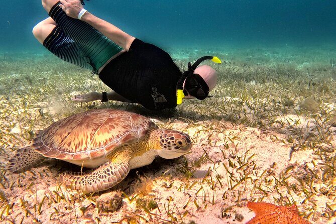 Cozumel Private Snorkeling and Charter Experience - Caleta Harbor Start: Pickup, Timing, and Why the 20-Minute Rule Matters