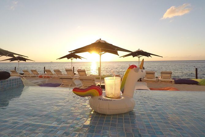 Cozumel Private Van Service with Snorkel Tour - Fees you’ll want to budget: Punta Sur, government fees, and ruins