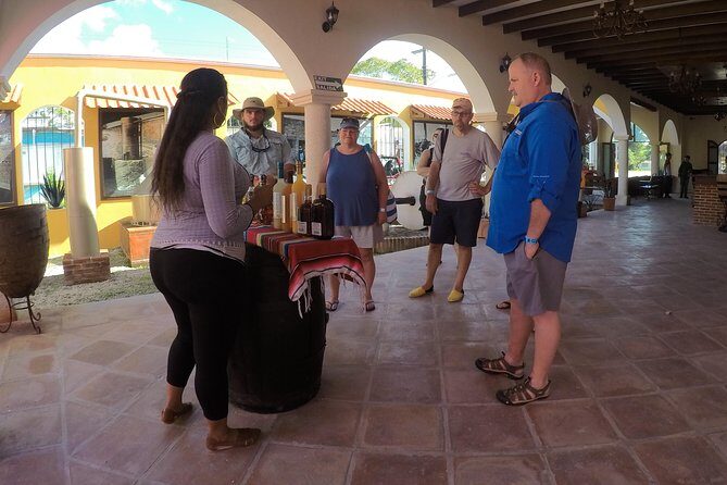 Cozumel Private Van Service with Snorkel Tour - Accessibility and special needs: how to ask, not hope