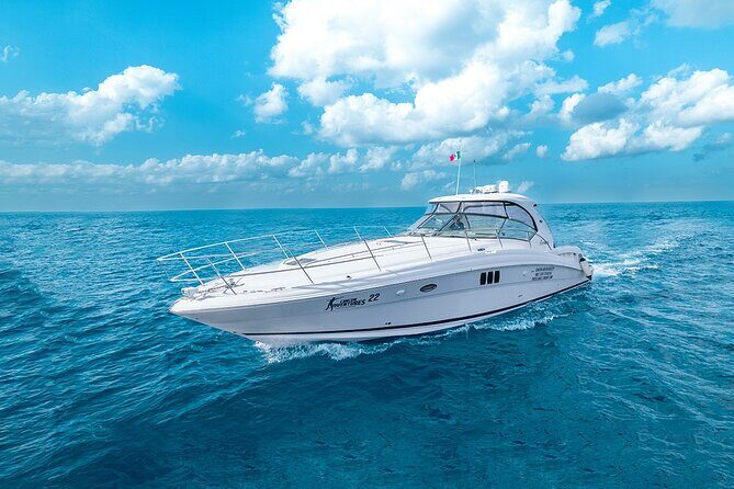 Cozumel Private Yacht and Snorkel with Lunch and Open Bar Onboard - Who this private yacht and snorkel trip fits best