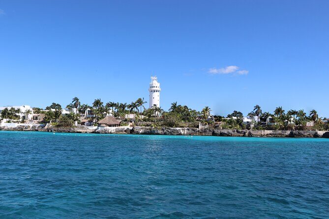 Cozumel Reef Snorkeling Tour - Speedboat reef hopping from Cozumel, Playa del Carmen, or Riviera Maya