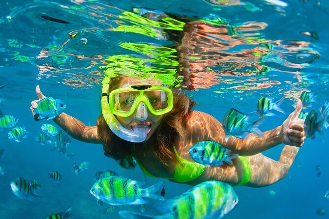 Cozumel Reef Snorkeling Tour - Logistics that trip people up: meeting points and pickup rules