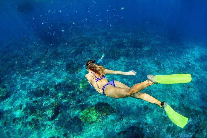 Cozumel Reef Snorkeling Tour - Should you book this tour?