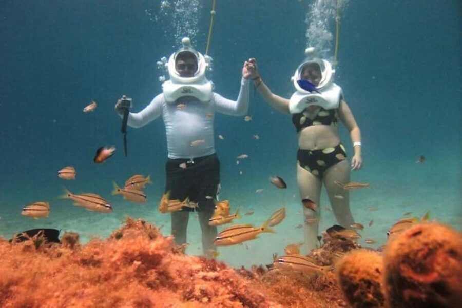 Cozumel: Sea Trek Adventure at Chankanaab National Park - The meeting point: how to get in quickly at Chankanaab Park