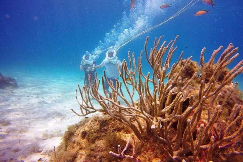 Cozumel: Sea Trek Adventure at Chankanaab National Park - What the recent feedback says about the experience