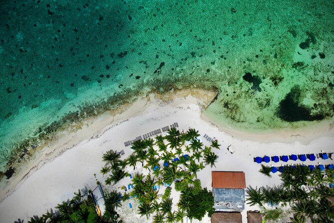 Cozumel: Shore Excursions for Royal Caribbean Cruise Passengers - The 5-Hour Rhythm: Enough Time to See, Not Enough to Feel Rushed