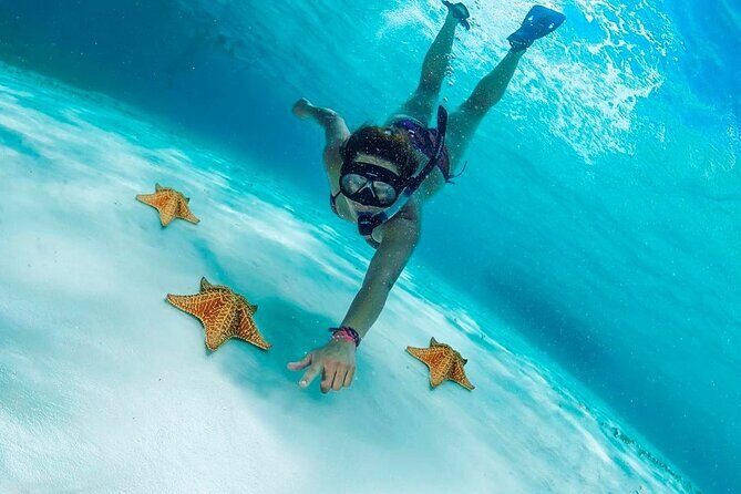 Cozumel Snorkel at El Cielo & 2 Reefs! Transportation from Tulum - Why This Cozumel Snorkel Tour Feels Worth It From Tulum