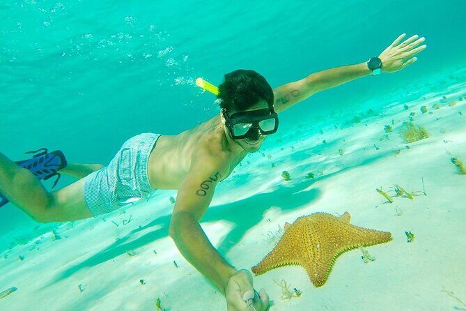 Cozumel Snorkel at El Cielo & 2 Reefs! Transportation from Tulum - Stop One: El Cielo’s Shallow Water, Starfish, and Sting Rays