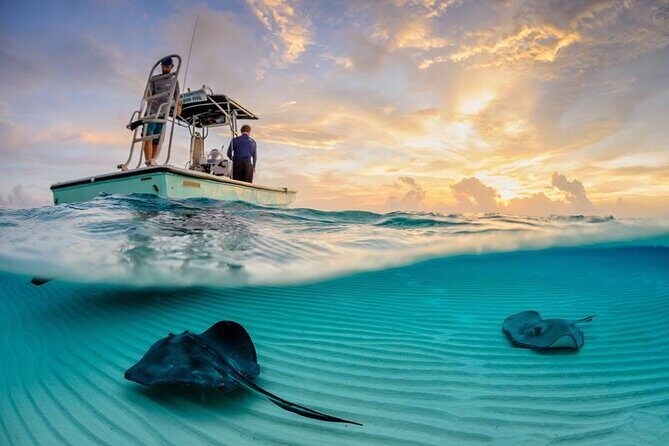 Cozumel Snorkel at El Cielo & 2 Reefs! Transportation from Tulum - Food, Drinks, and Cozumel Free Time: The Part People Forget