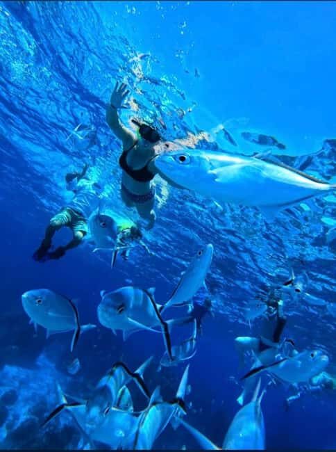 Cozumel: snorkeling on reefs + visit to "El Cielo" - Key takeaways before you go