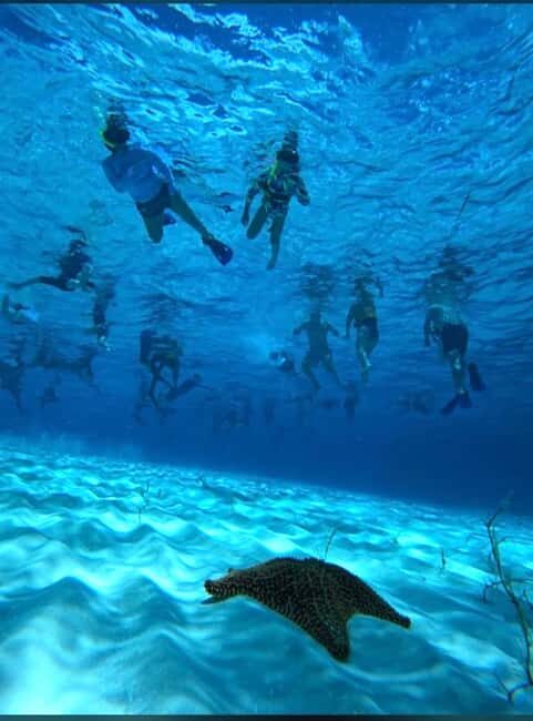 Cozumel: snorkeling on reefs + visit to "El Cielo" - Columbia and Palancar reefs: where the snorkeling feels most alive
