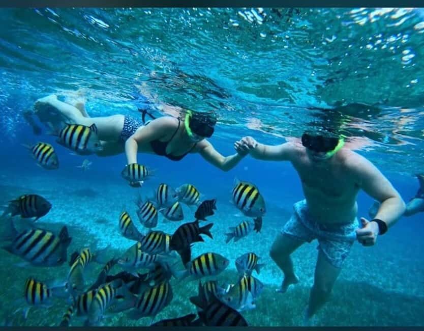 Cozumel: snorkeling on reefs + visit to "El Cielo" - Timing: how the 4 hours usually feel on the water