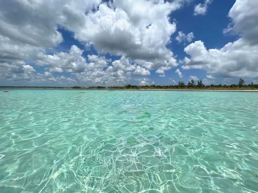 Cozumel: snorkeling on reefs + visit to "El Cielo" - Price and value: the 30/70 payment split at check-in