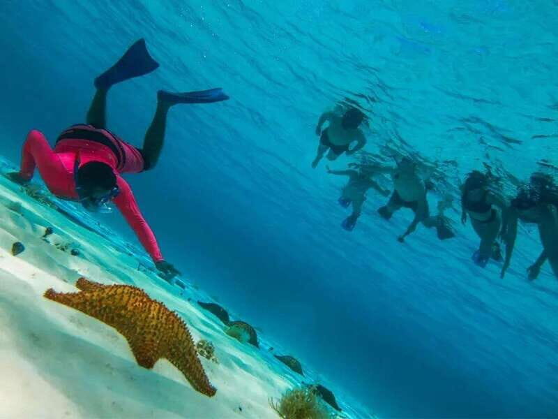 Cozumel: snorkeling on reefs + visit to "El Cielo" - Should you book: my quick decision guide