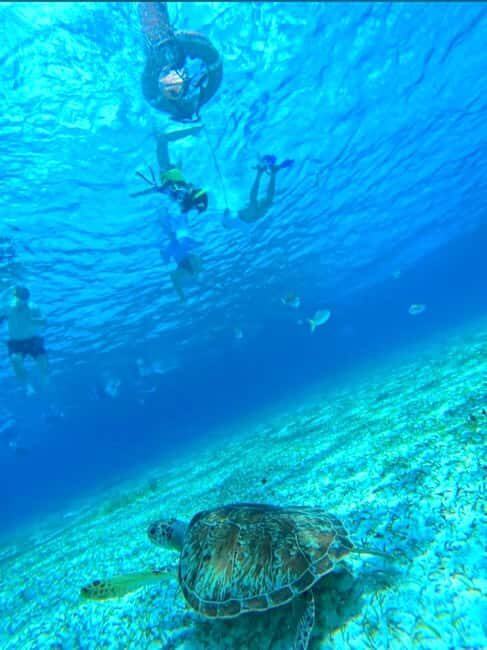 Cozumel: snorkeling on reefs + visit to "El Cielo" - El Cielo (The Sky) sandbar: starfish views and manta-ray rules