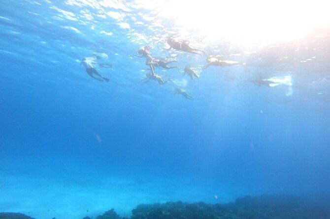 Cozumel Snorkeling Reef Experience with Ceviche and Beers - Snorkel coaching, equipment, and a guide who keeps things friendly