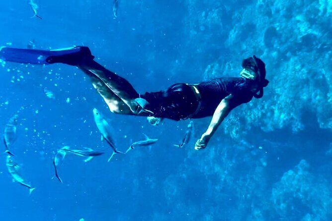 Cozumel Snorkeling Reef Experience with Ceviche and Beers - Ceviche and beers: the meal payoff after snorkeling