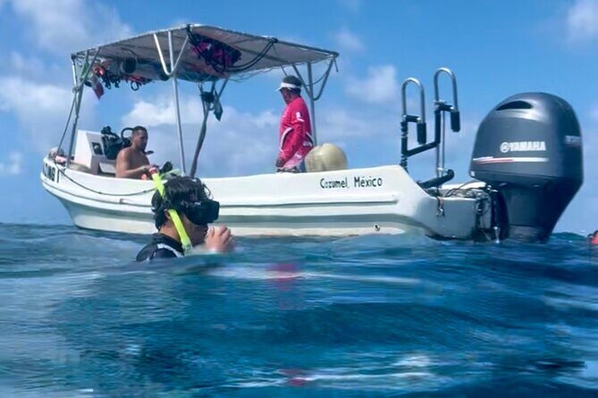 Cozumel Snorkeling Reef Experience with Ceviche and Beers - Practical tips so your day runs smooth
