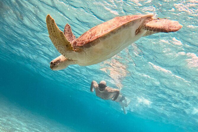 Cozumel: Snorkeling to El Cielo & Cielito with drinks & Snack - Quick highlights to know before you go