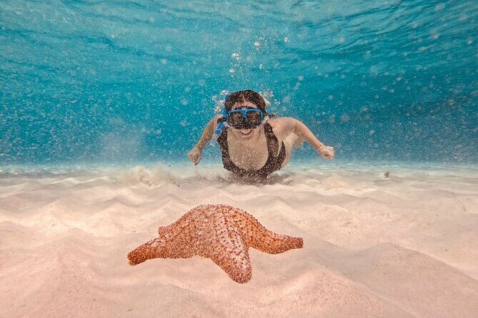 Cozumel: Snorkeling to El Cielo & Cielito with drinks & Snack - Why this Cozumel snorkeling day feels like good value