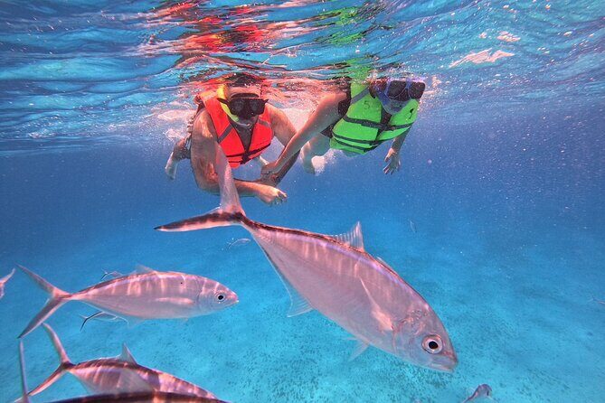 Cozumel: Snorkeling to El Cielo & Cielito with drinks & Snack - The crew: why Joaquim and Chito get special mentions