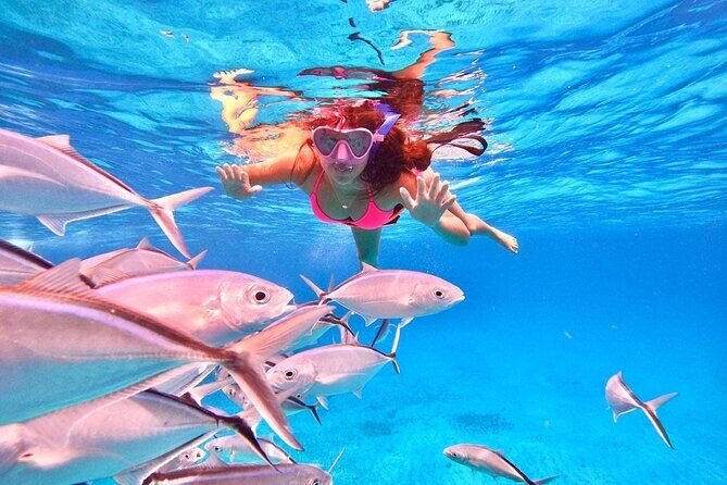 Cozumel: Snorkeling to El Cielo & Cielito with drinks & Snack - Timing and pacing: where the day can feel tight