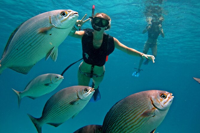 Cozumel snorkeling tour: Palancar, Columbia and El Cielo reefs - Key things that make this Cozumel snorkeling tour worth your time