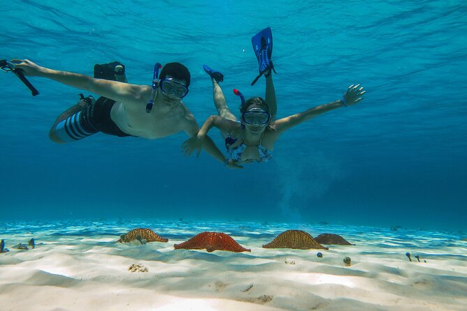 Cozumel snorkeling tour: Palancar, Columbia and El Cielo reefs - Stop 1 at Playa El Cielo: starfish sandbar and stingray-chance shallows