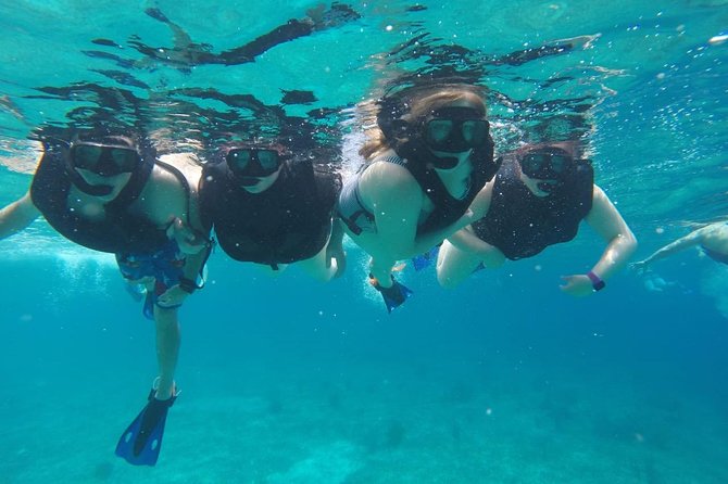 Cozumel snorkeling tour: Palancar, Columbia and El Cielo reefs - The snorkeling gear and guide support that make or break the day
