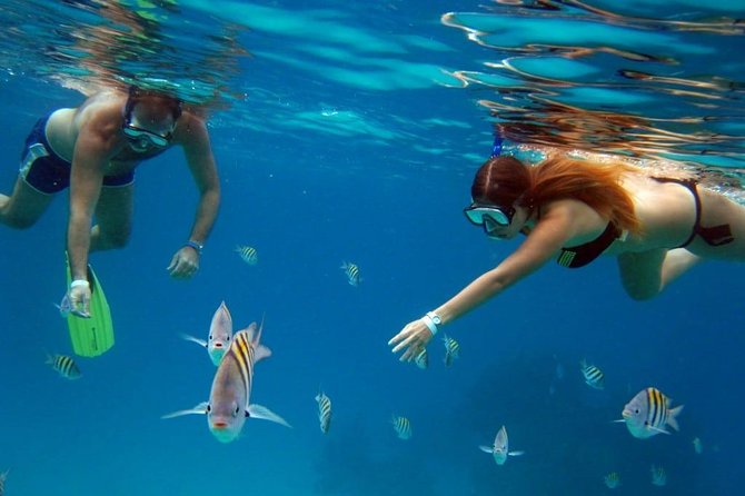 Cozumel snorkeling tour: Palancar, Columbia and El Cielo reefs - Included extras: drinks, snack, and shaded comfort