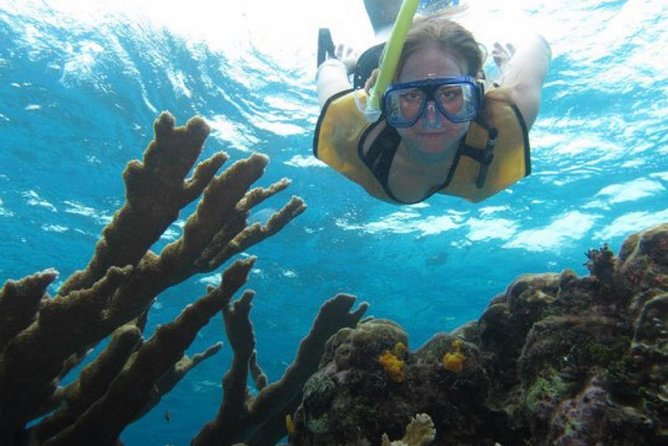 Cozumel snorkeling tour: Palancar, Columbia and El Cielo reefs - From Marina Caleta to reef time: boats, shade, and the in-between moments
