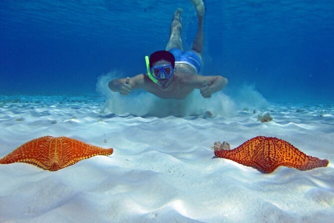 Cozumel Snorkeling Tour to Palancar Reef and El Cielo - Palancar Reef Meets Playa El Cielo: A Two-Stop Day With Real Payoff