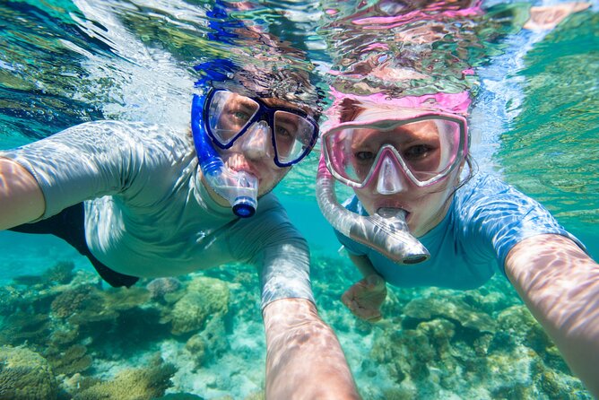 Cozumel Snorkeling Tour to Palancar Reef and El Cielo - Meeting Point and Timing: The 10:00 a.m. Start Matters