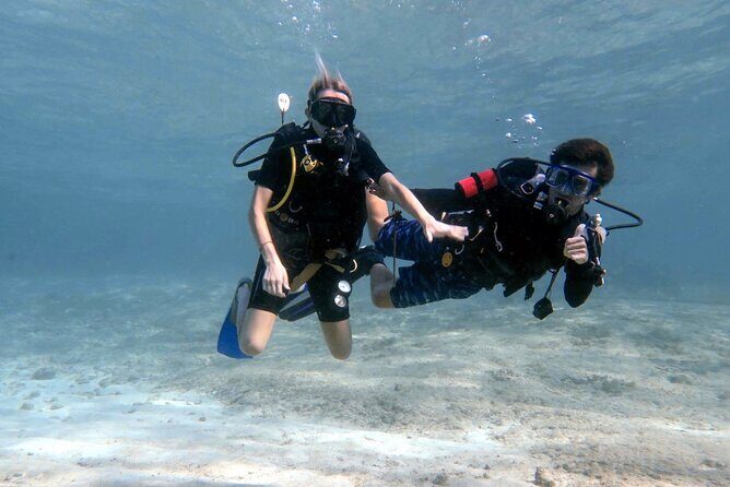 Cozumel underwater 2 Tank Dive by boat - Caleta Harbor start: getting on the boat without stress