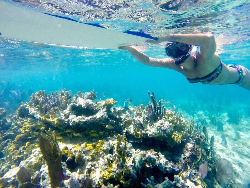 Cozumel: West Coast E-Bike and Snorkeling Tour - The cenote stop: underground river views and Mayan-era connections