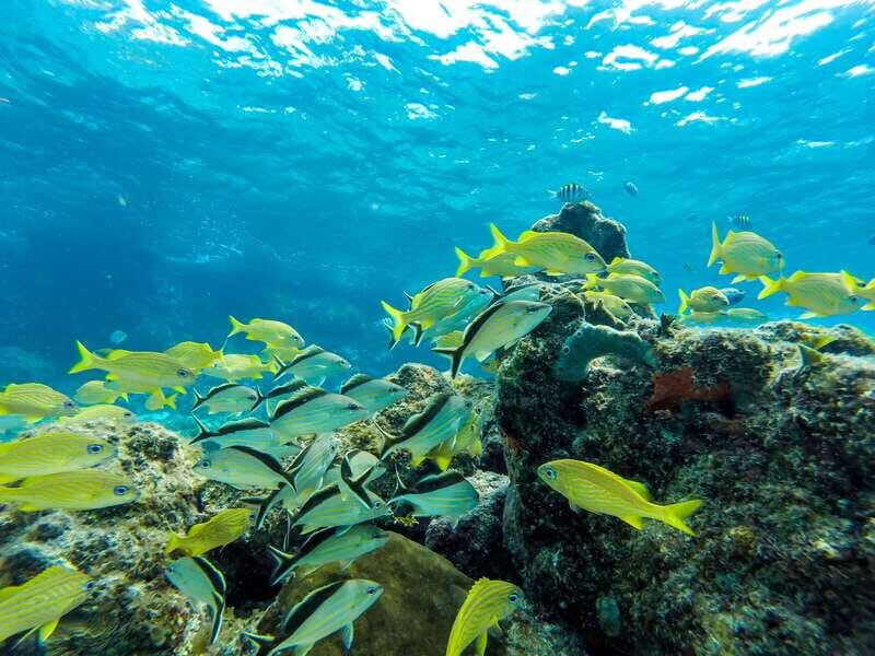 Cozumel: West Coast E-Bike and Snorkeling Tour - Price and value: why $73 can make sense