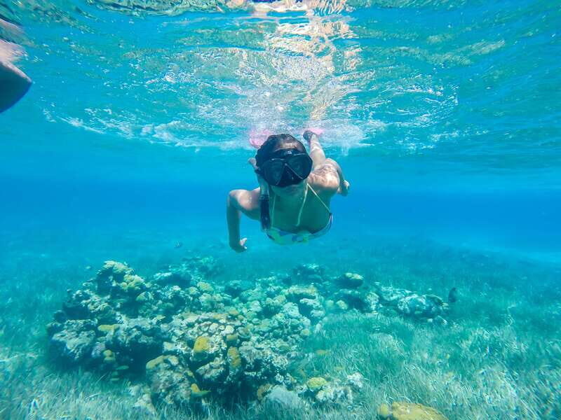 Cozumel: West Coast E-Bike and Snorkeling Tour - Mayan botanical garden: culture without a museum vibe