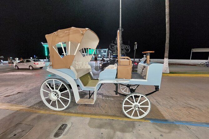 Cozumel's Heart Electric and Horse-drawn Carriage Tour - Meeting and timing: the part you should plan for