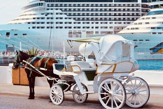 Cozumel's Heart Electric and Horse-drawn Carriage Tour - Shopping stops: what to expect (and how to handle it)