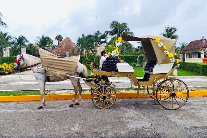 Cozumel's Heart Electric and Horse-drawn Carriage Tour - Parking fees included: the practical value piece