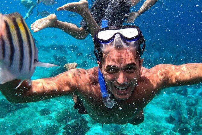 Cozumel's Reefs in El Cielo, Palancar and Columbia Guided Tour - Cozumel Reef Snorkeling in One Guided Stretch